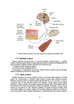 Diplomdarbs 'Astes kaula asimetrijas ietekme uz iegurņa  funkcionālo stāvokli', 23.