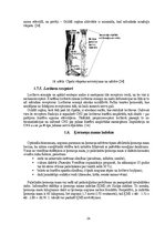 Diplomdarbs 'Astes kaula asimetrijas ietekme uz iegurņa  funkcionālo stāvokli', 24.