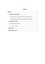 Referāts 'Kontroles nozīme un būtība administratīvo tiesību teorijā', 2.