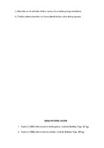 Referāts 'Kontroles nozīme un būtība administratīvo tiesību teorijā', 9.