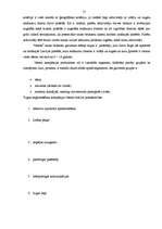 Diplomdarbs 'Produkta konkurētspēja Latvijas tirgū', 21.