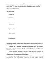 Diplomdarbs 'Produkta konkurētspēja Latvijas tirgū', 42.