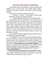 Referāts 'Datornoziegumi', 7.