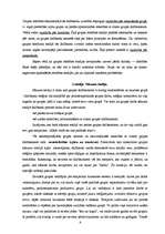 Referāts 'Grupas attīstības stadijas', 6.