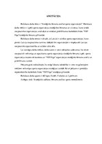 Referāts 'Stratēģisko lēmumu analīze sporta organizācijās', 3.