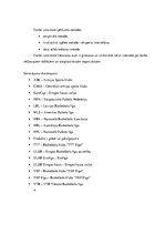 Referāts 'Stratēģisko lēmumu analīze sporta organizācijās', 7.