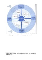 Referāts 'Stratēģisko lēmumu analīze sporta organizācijās', 14.