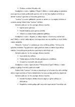 Referāts 'Stratēģisko lēmumu analīze sporta organizācijās', 26.