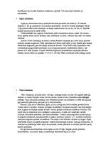 Referāts 'Mūzika laikmetos', 4.