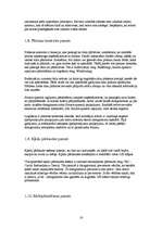 Referāts 'Interneta servisa risinājumu analīze', 16.