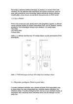 Referāts 'Interneta servisa risinājumu analīze', 19.