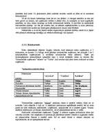 Referāts 'Mārketinga plāns tirdzniecības uzņēmumam "Linda"', 6.