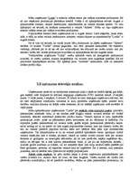 Referāts 'Mārketinga plāns tirdzniecības uzņēmumam "Linda"', 7.