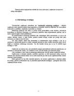 Referāts 'Mārketinga plāns tirdzniecības uzņēmumam "Linda"', 11.