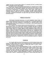 Referāts 'Tirdzniecība', 12.