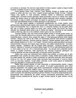 Referāts 'Tirdzniecība', 13.