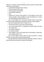 Referāts 'Rīgas Fondu birža: vēsture, darbības raksturojums', 10.