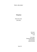 Referāts 'Sikspārņi', 1.