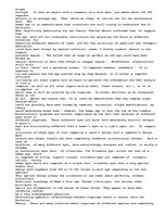 Eseja 'The evolution theory', 5.