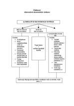 Referāts 'Tirgus modeļi Latvijā', 3.