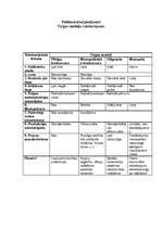 Referāts 'Tirgus modeļi Latvijā', 6.