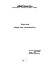 Konspekts 'Projekts, kā uzlabot situāciju pilsētā', 1.