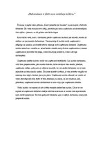 Referāts 'Piecas uzņēmuma vadītāja atziņas menedžmentā', 3.