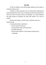 Referāts 'Video adapteris', 3.