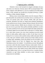 Referāts 'Video adapteris', 7.