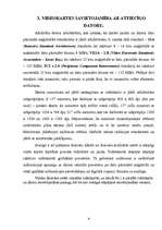 Referāts 'Video adapteris', 8.