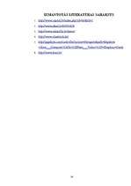 Referāts 'Video adapteris', 29.