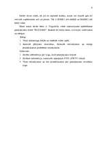 Referāts 'Uzņēmuma analīze', 2.