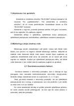 Referāts 'Uzņēmuma analīze', 3.