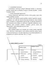 Referāts 'Uzņēmuma analīze', 17.