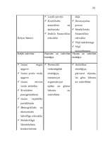 Referāts 'Uzņēmuma analīze', 18.