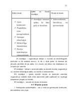 Referāts 'Uzņēmuma analīze', 19.