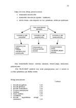 Referāts 'Uzņēmuma analīze', 21.