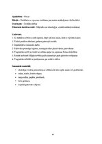 Prakses atskaite 'Kvalifikācijas prakse pirmsskolā', 40.