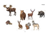 Prakses atskaite 'Kvalifikācijas prakse pirmsskolā', 57.