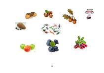 Prakses atskaite 'Kvalifikācijas prakse pirmsskolā', 58.