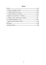 Referāts 'Cilvēku savstarpējās attiecības Sv.Ignātija Lojolas "Autobiogrāfijā"', 2.