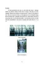 Biznesa plāns 'Biznesa plāns naktsklubam "M2TheK"', 11.