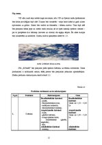 Biznesa plāns 'Biznesa plāns naktsklubam "M2TheK"', 12.