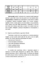 Biznesa plāns 'Biznesa plāns naktsklubam "M2TheK"', 38.