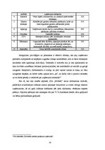 Biznesa plāns 'Biznesa plāns naktsklubam "M2TheK"', 43.