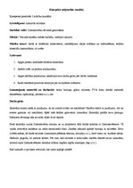 Konspekts 'Ziemassvētku dāvanas gatavošana', 1.