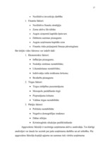 Referāts 'Apgrozāmo līdzekļu nozīme uzņēmējdarbībā', 17.