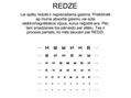 Prezentācija 'Redze', 1.