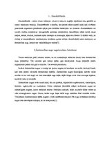 Referāts 'Ārstniecības augu pielietojums saaukstēšanās gadījumos', 6.