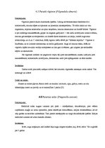 Referāts 'Ārstniecības augu pielietojums saaukstēšanās gadījumos', 14.